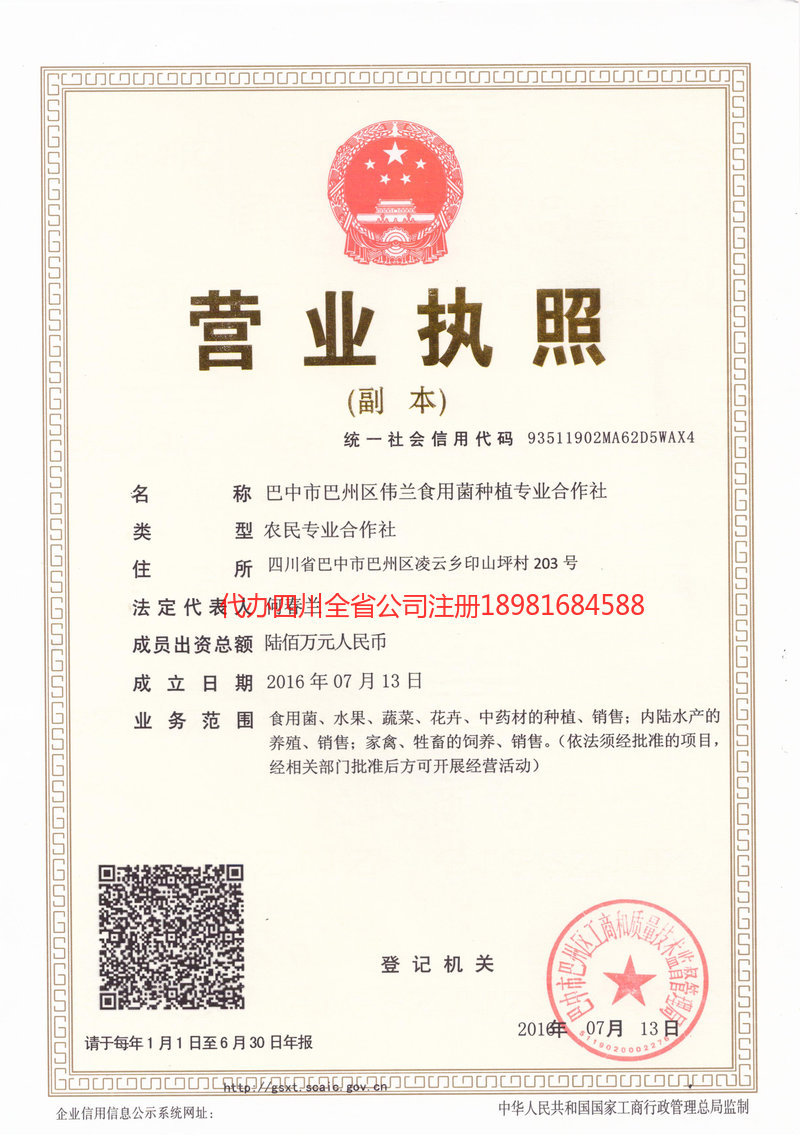 泰兴泰兴伟兰食用菌种植专业合作社